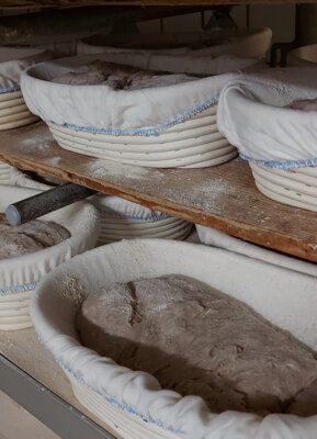 Brot-Teiglinge von der Bäckerei Köglsperger
